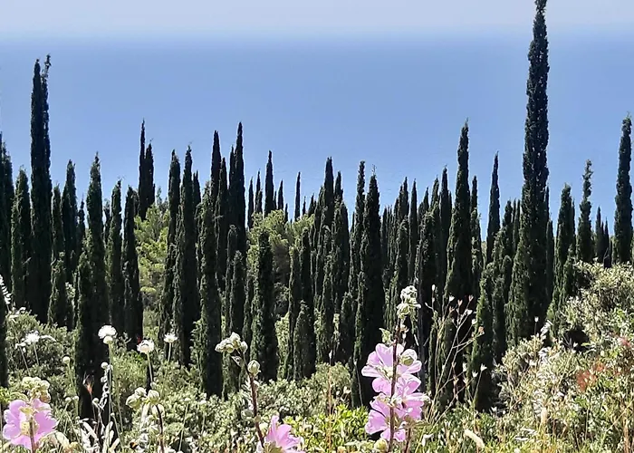 House Ko An-four Bedroom With Terrace And Swimming Pool Gruda