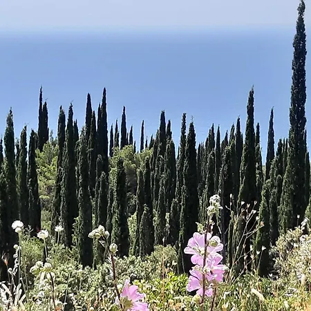 House Ko An-four Bedroom With Terrace And Swimming Pool Gruda